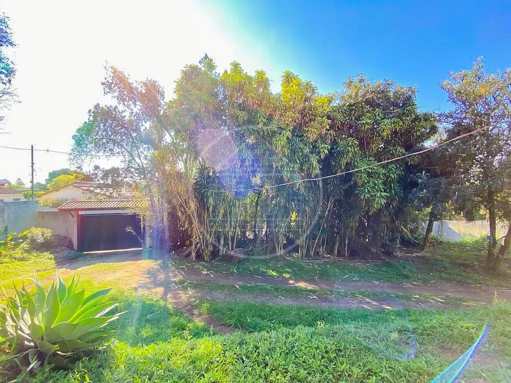 Terreno, 3 hectares - Foto 31