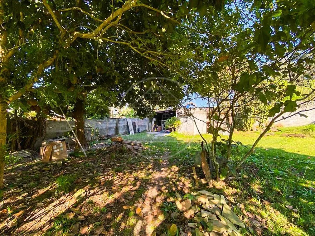 Terreno, 3 hectares - Foto 23