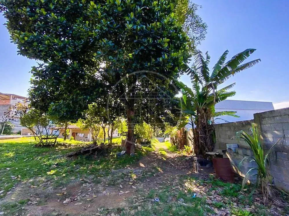 Terreno, 3 hectares - Foto 20
