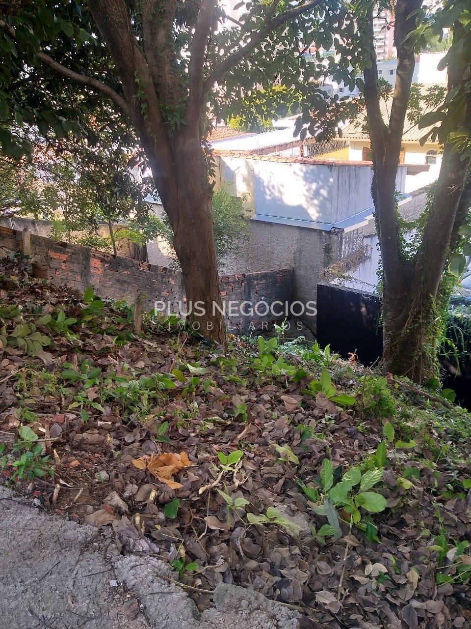 Terreno, 350 m² - Foto 5