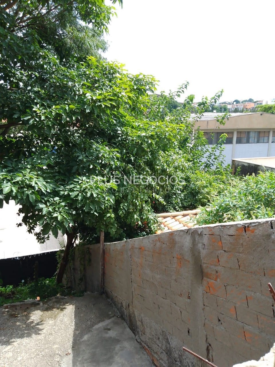 Terreno, 350 m² - Foto 4