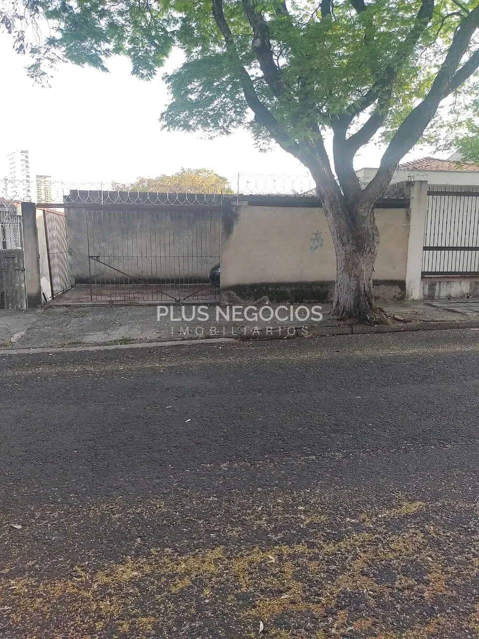 Terreno, 350 m² - Foto 1