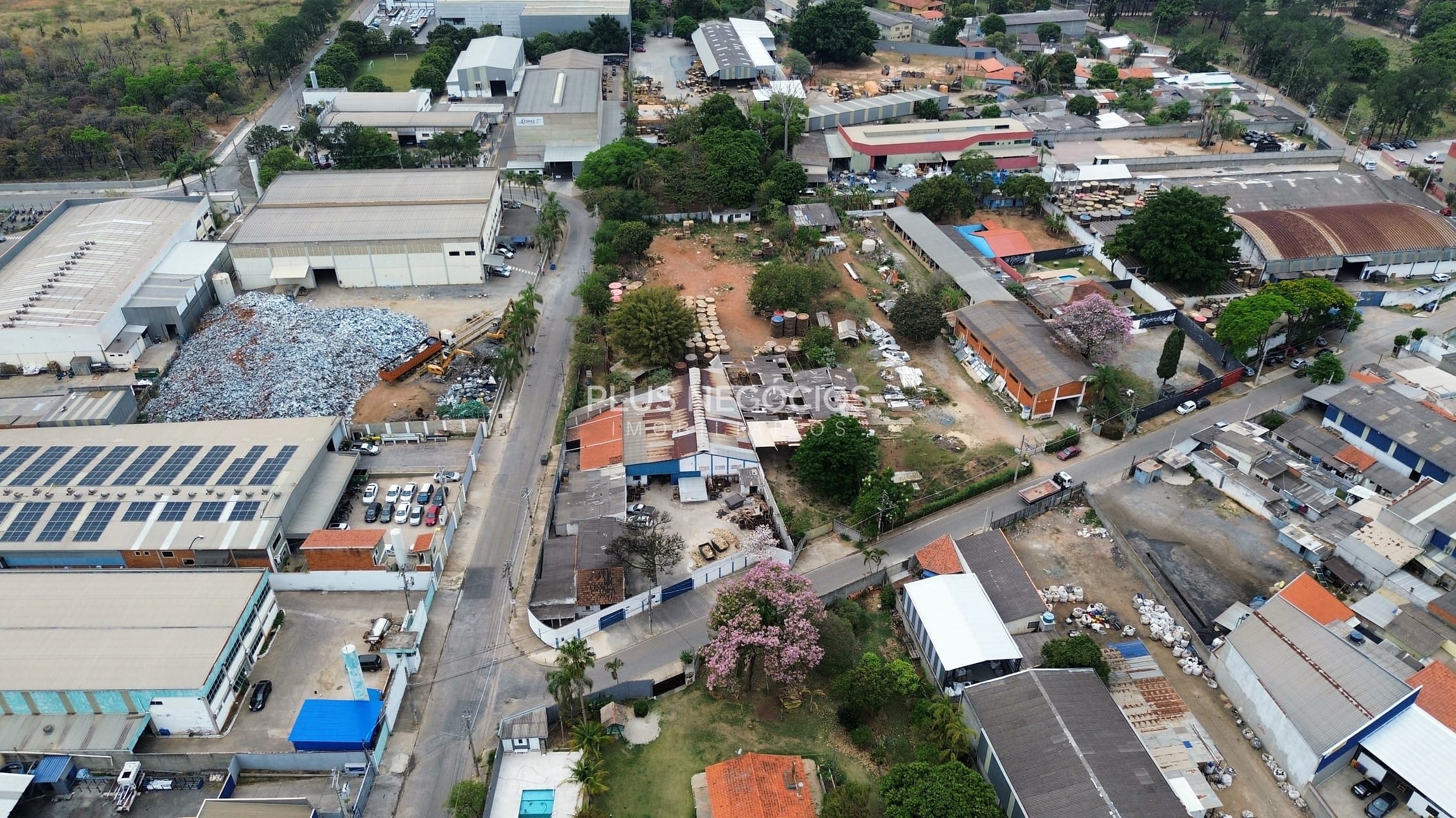 Terreno, 6000 m² - Foto 6