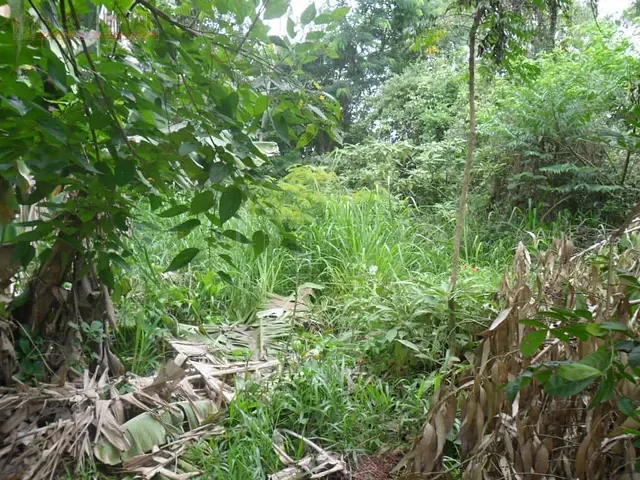 Terreno com 504m², à venda, no bairro Parque do Terceiro Lago em São Paulo