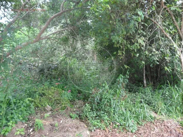 Terreno com 504m², à venda, no bairro Parque do Terceiro Lago em São Paulo