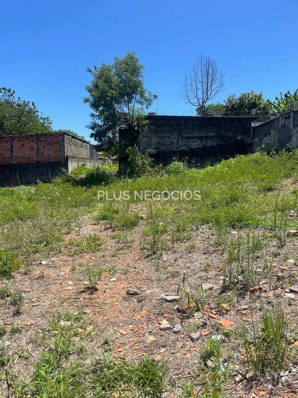 Terreno, 460 m² - Foto 3