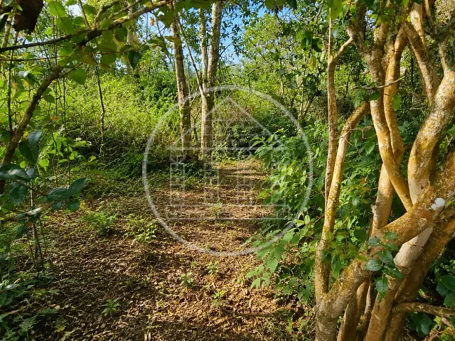 Terreno com 504m², à venda, no bairro Parque do Terceiro Lago em São Paulo