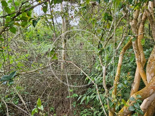 Terreno com 504m², à venda, no bairro Parque do Terceiro Lago em São Paulo