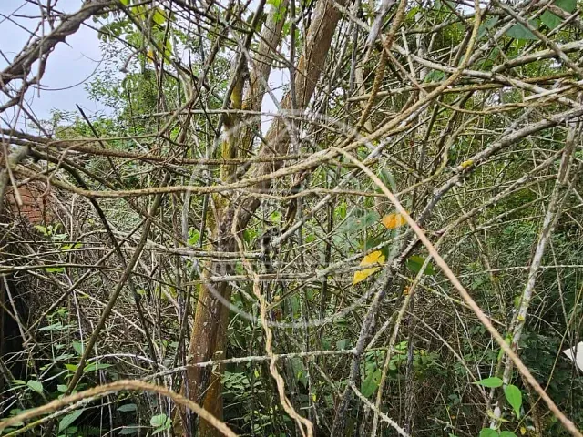 Terreno com 504m², à venda, no bairro Parque do Terceiro Lago em São Paulo