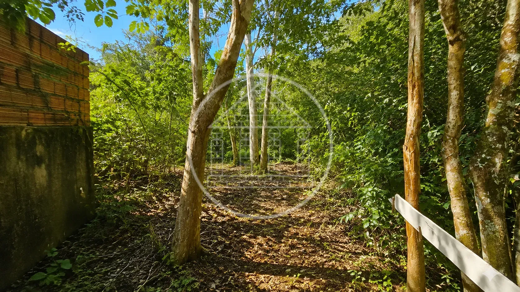 Terreno, 504 m² - Foto 3