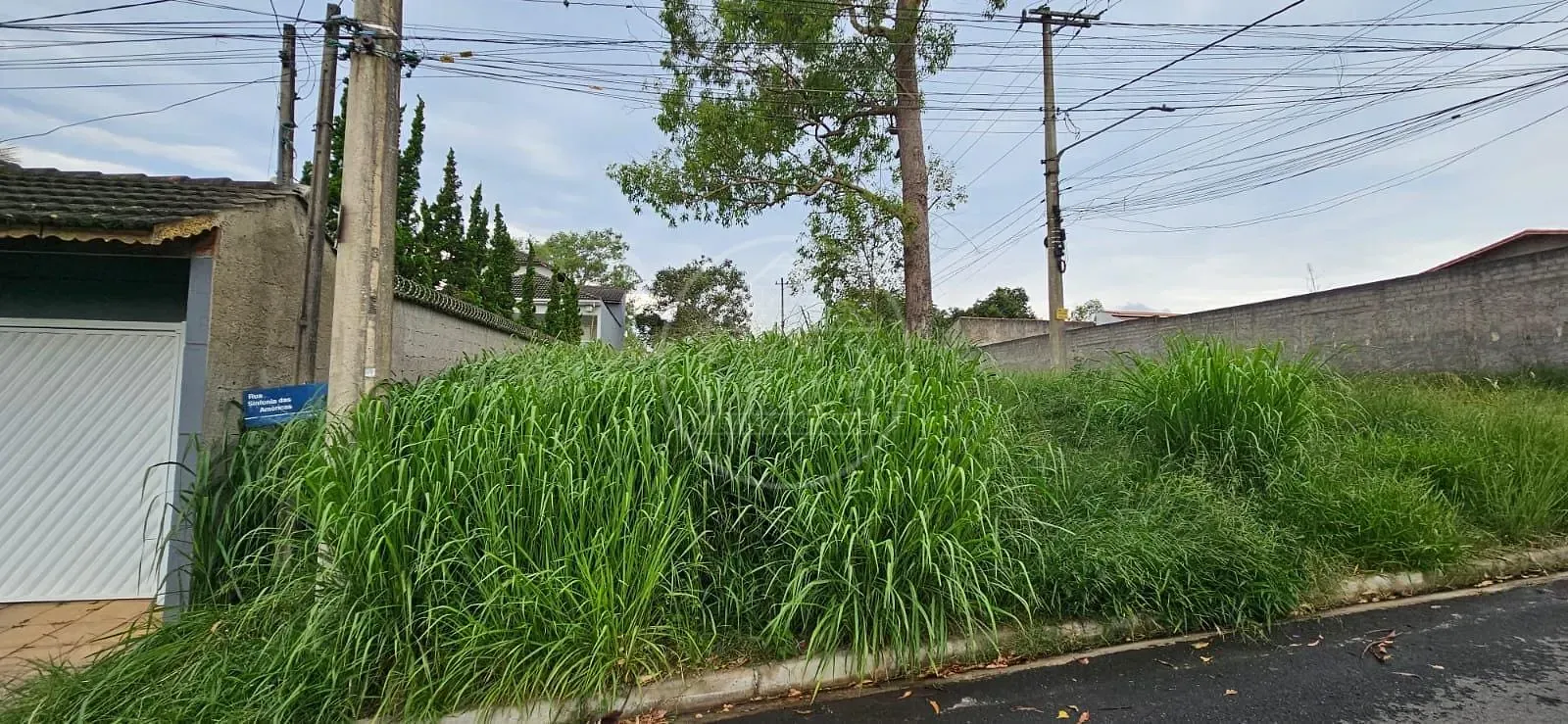 Terreno, 500 m² - Foto 6