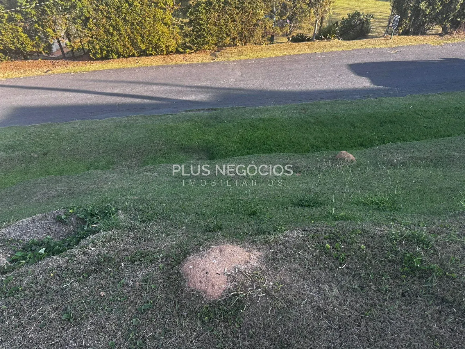 Terreno, 1000 m² - Foto 3