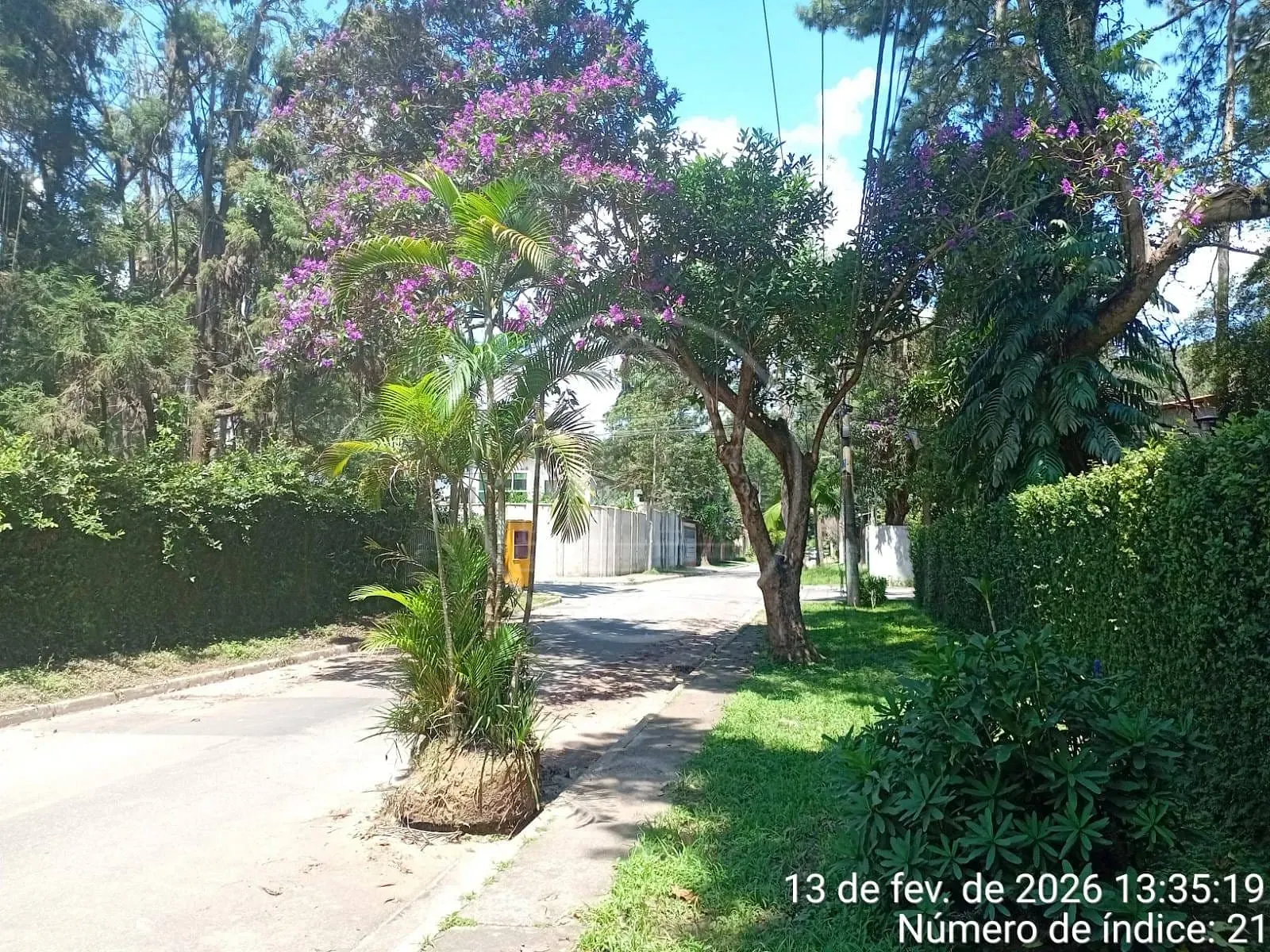 Terreno, 310 m² - Foto 6
