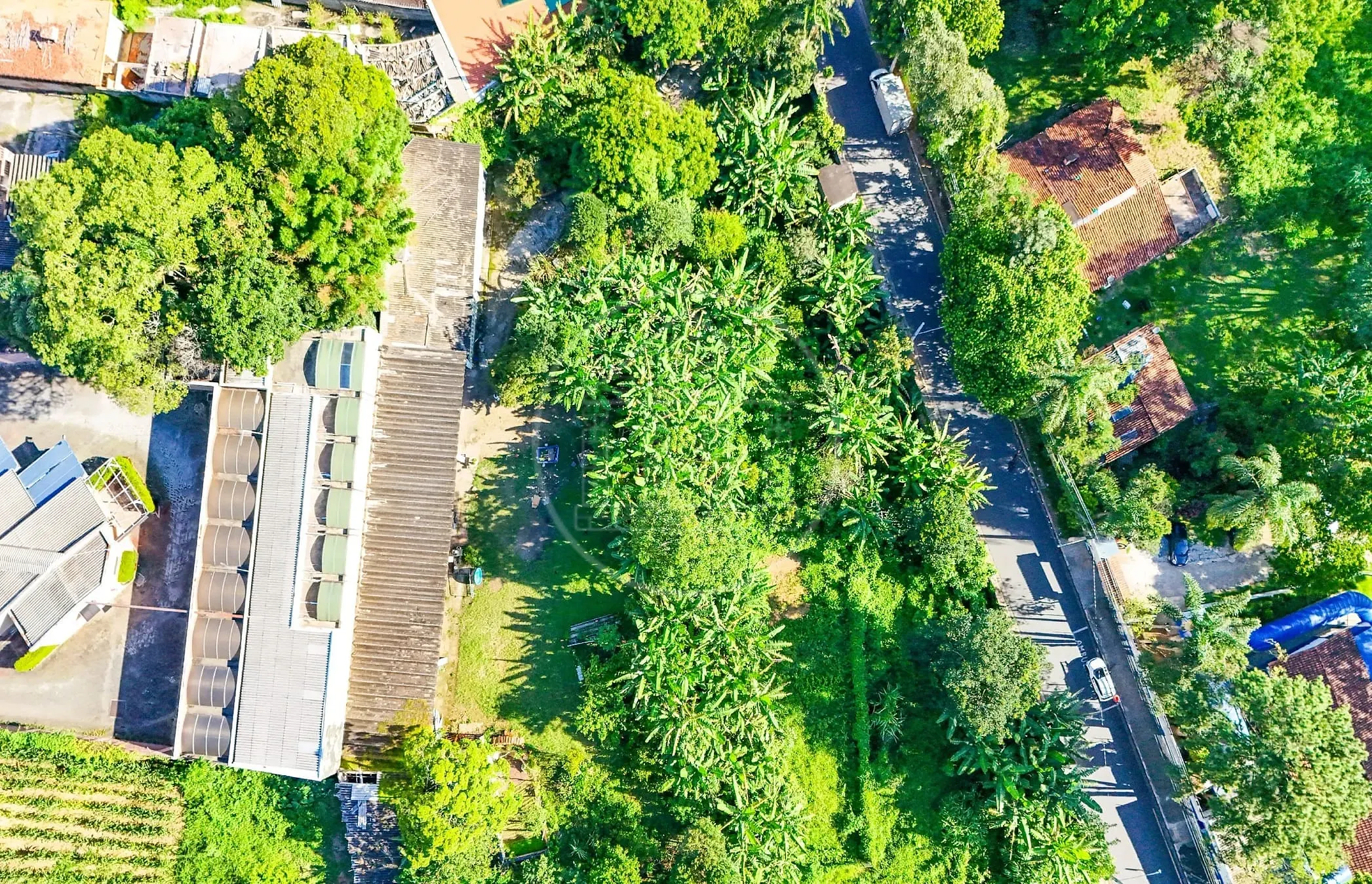 Terreno, 5330 m² - Foto 11