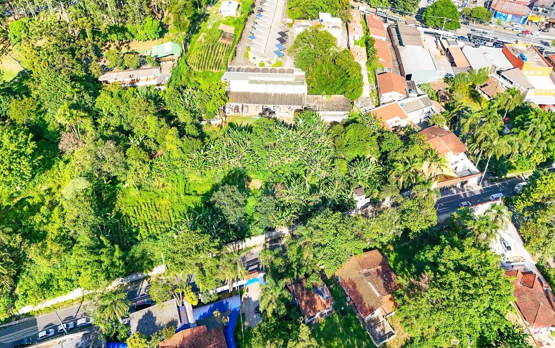 Terreno, 5330 m² - Foto 8