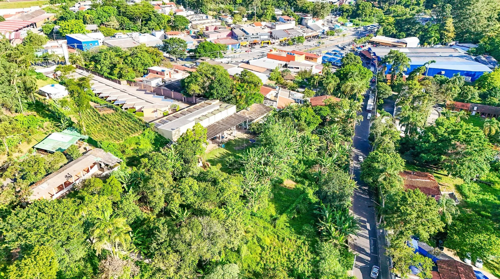 Terreno, 5330 m² - Foto 2