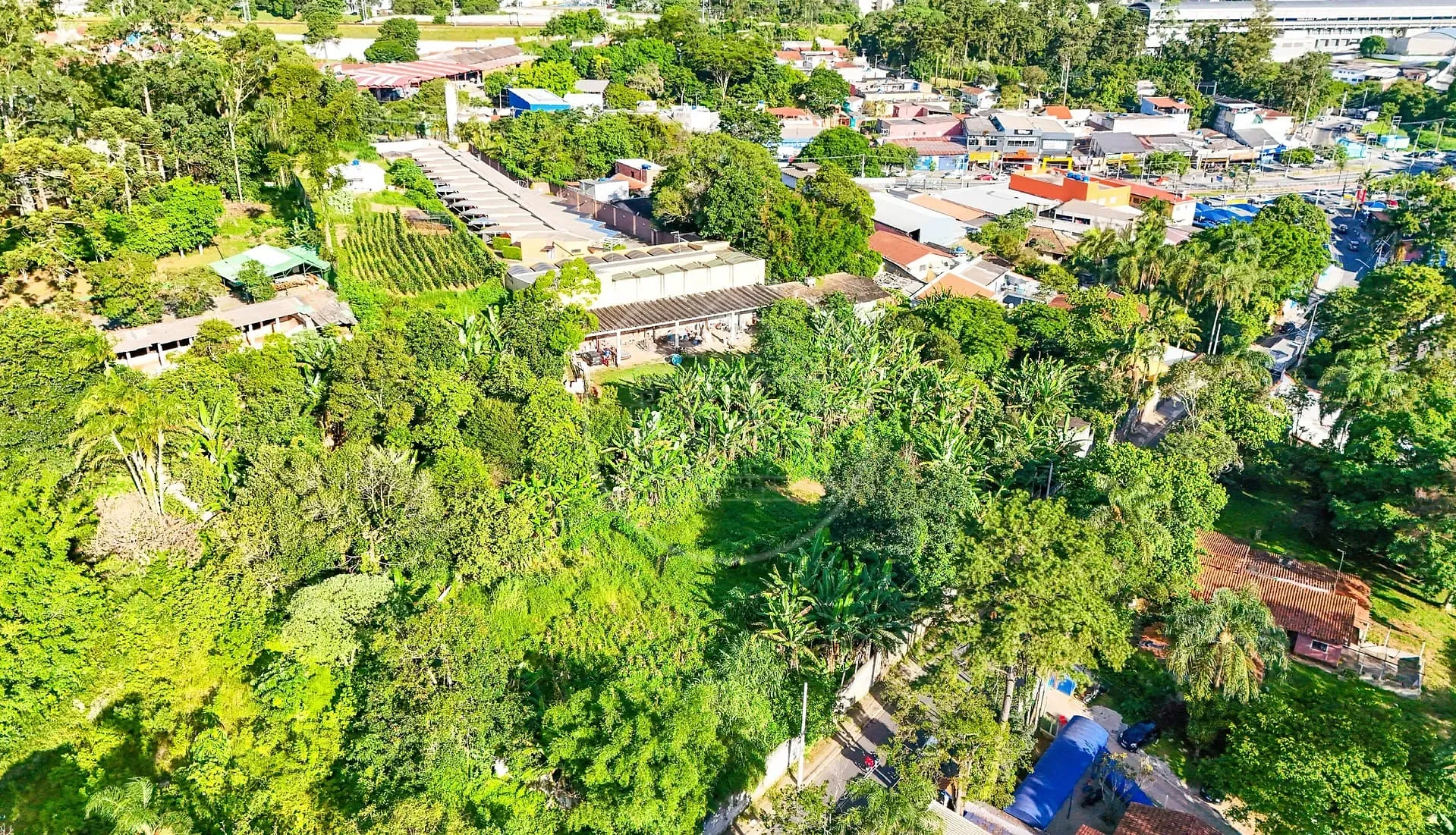 Terreno, 5330 m² - Foto 1