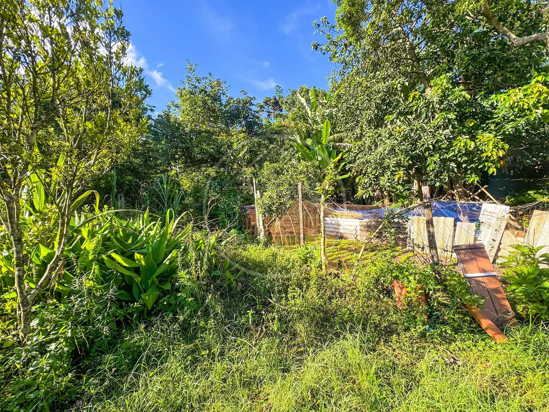 Terreno, 5330 m² - Foto 25
