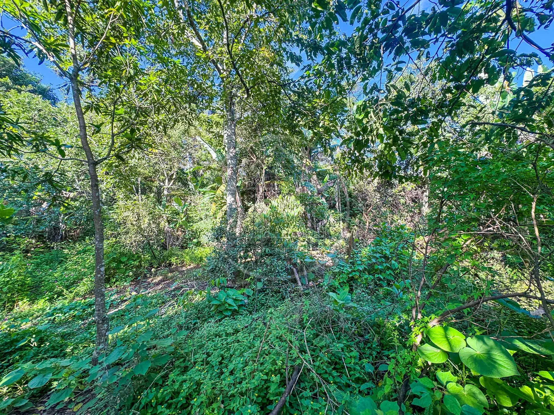 Terreno, 5330 m² - Foto 24