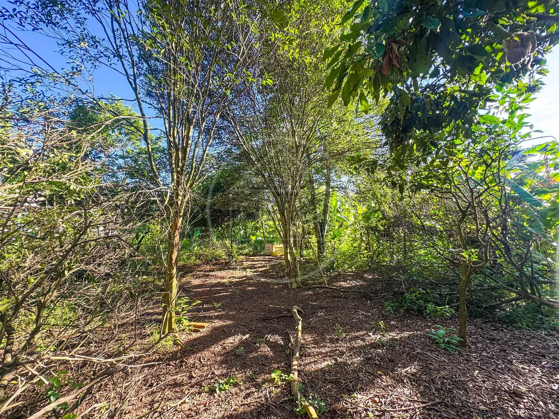 Terreno, 5330 m² - Foto 23