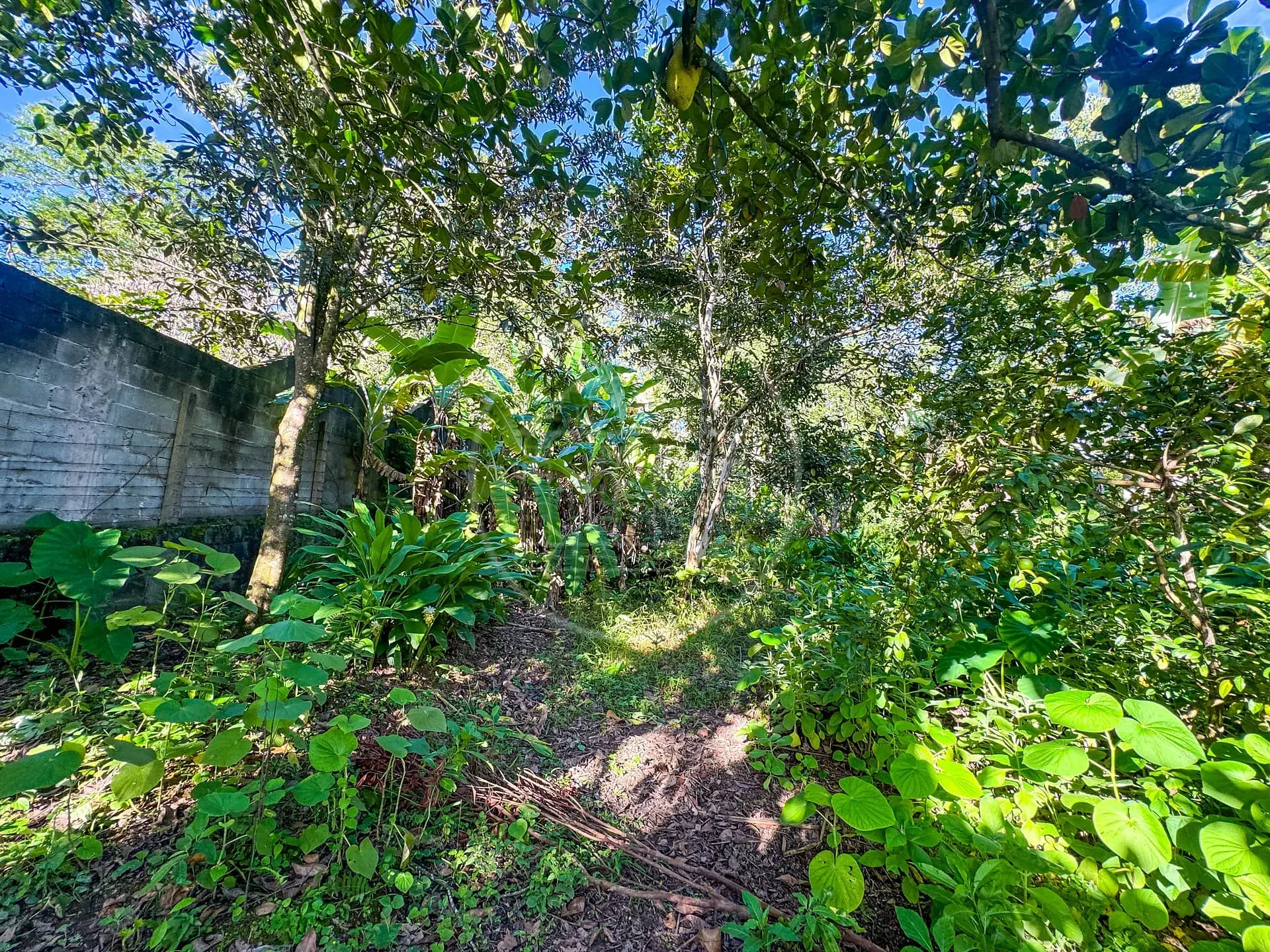 Terreno, 5330 m² - Foto 20