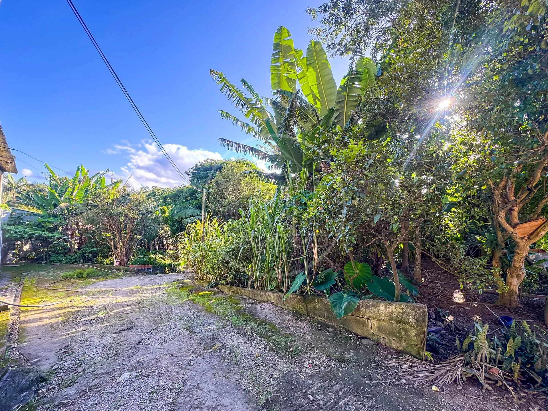 Terreno, 5330 m² - Foto 19