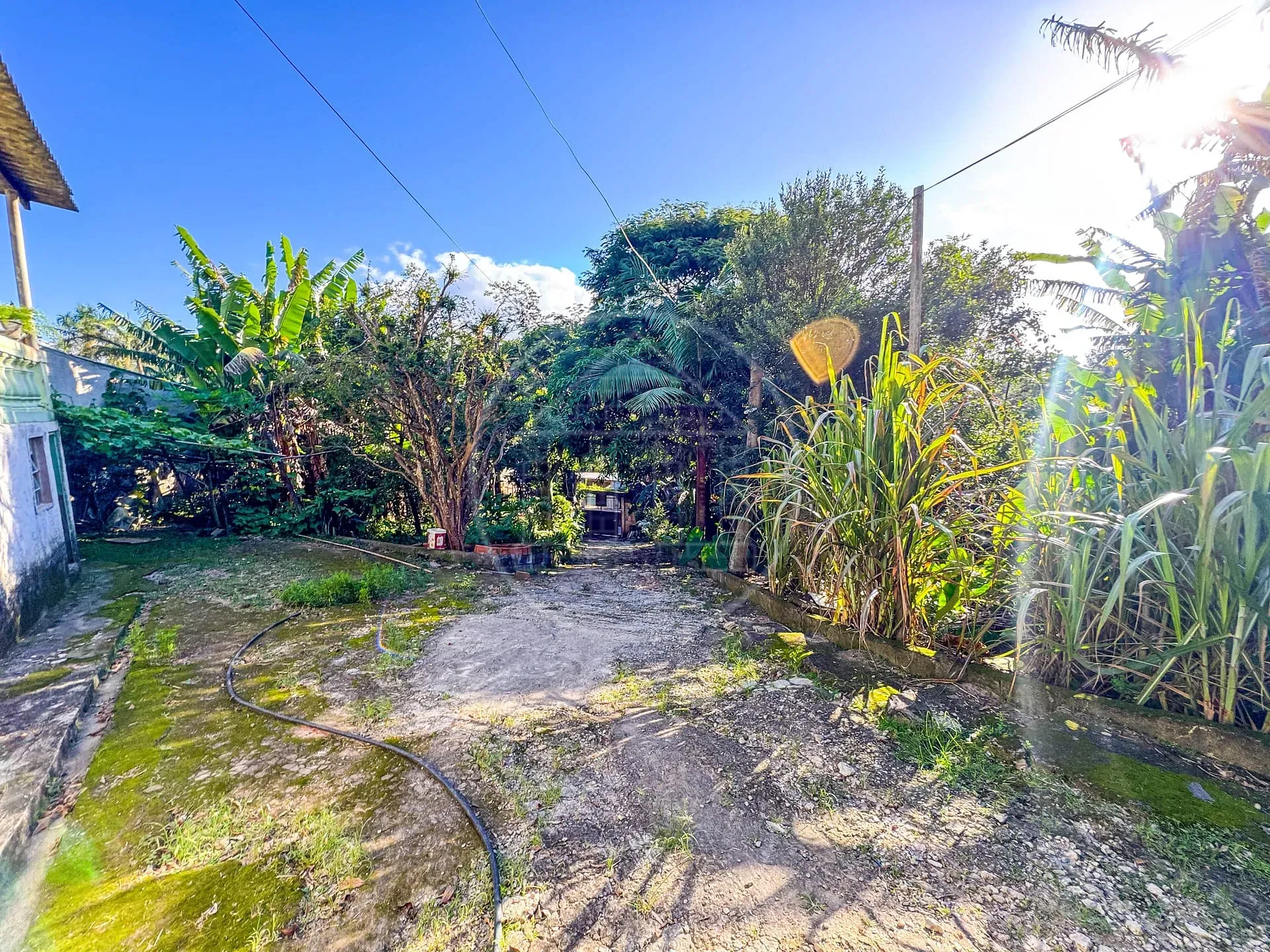 Terreno, 5330 m² - Foto 14