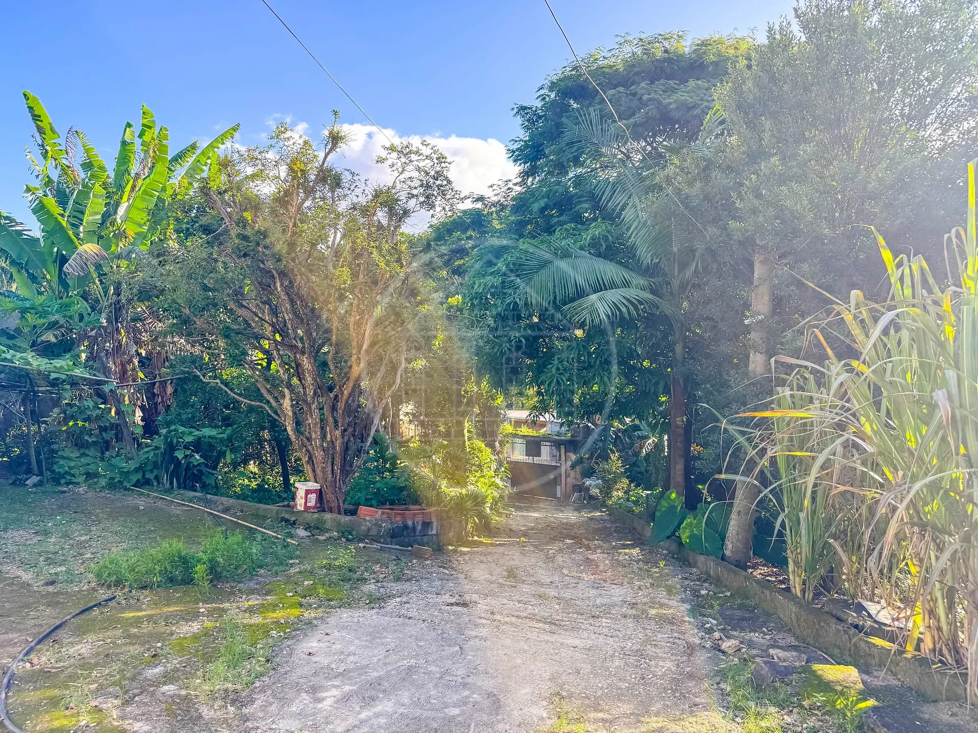 Terreno, 5330 m² - Foto 18
