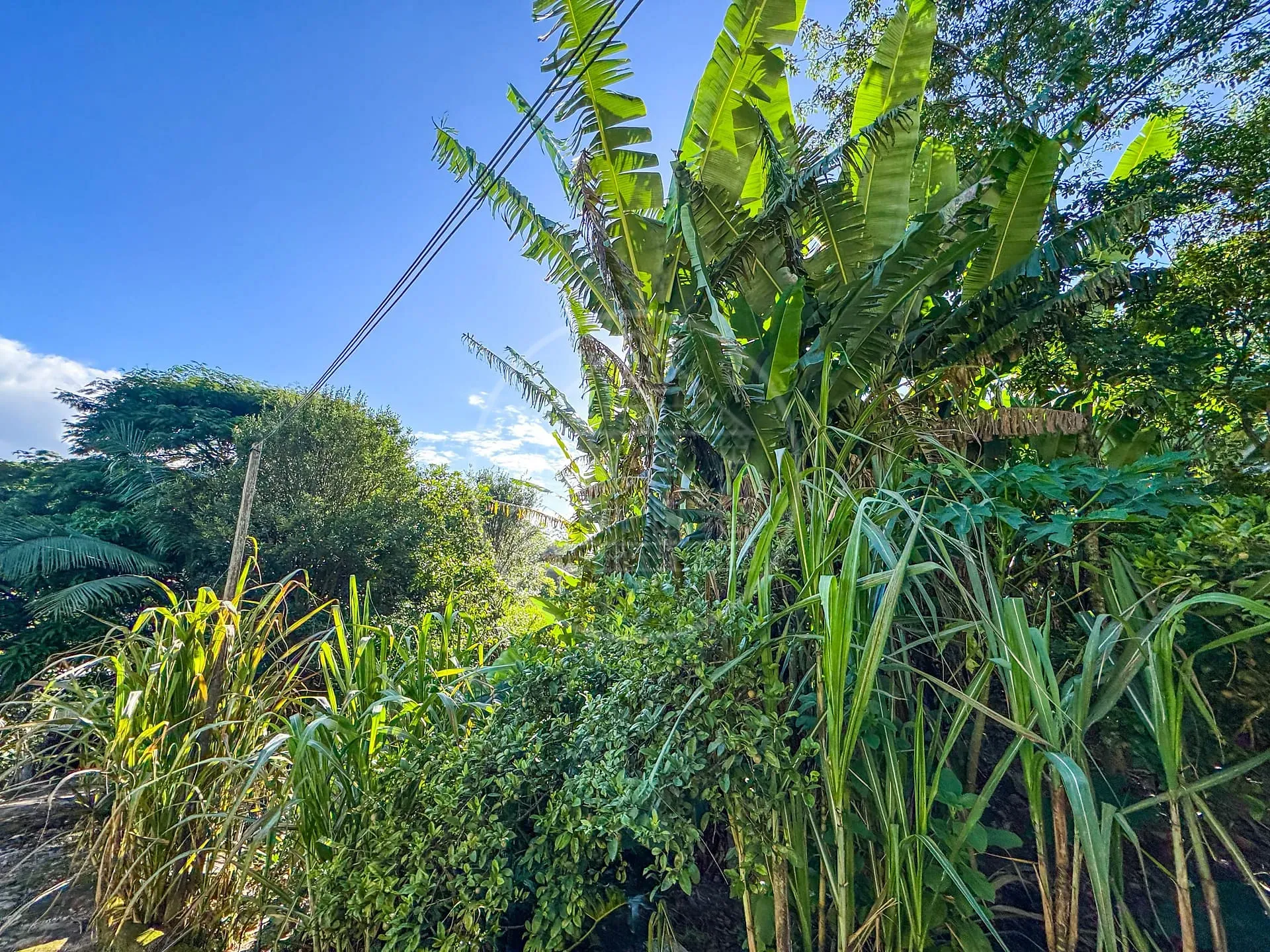 Terreno, 5330 m² - Foto 16
