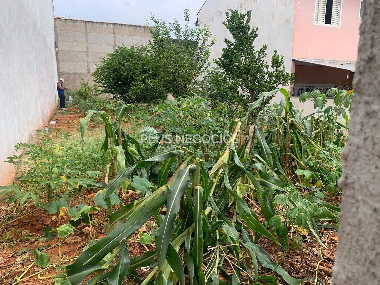 Terreno, 200 m² - Foto 3