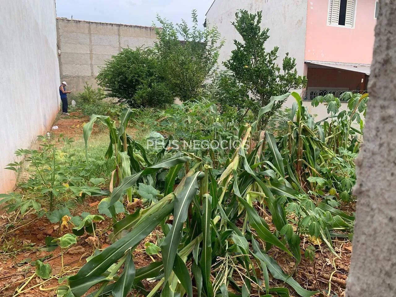Terreno, 200 m² - Foto 2