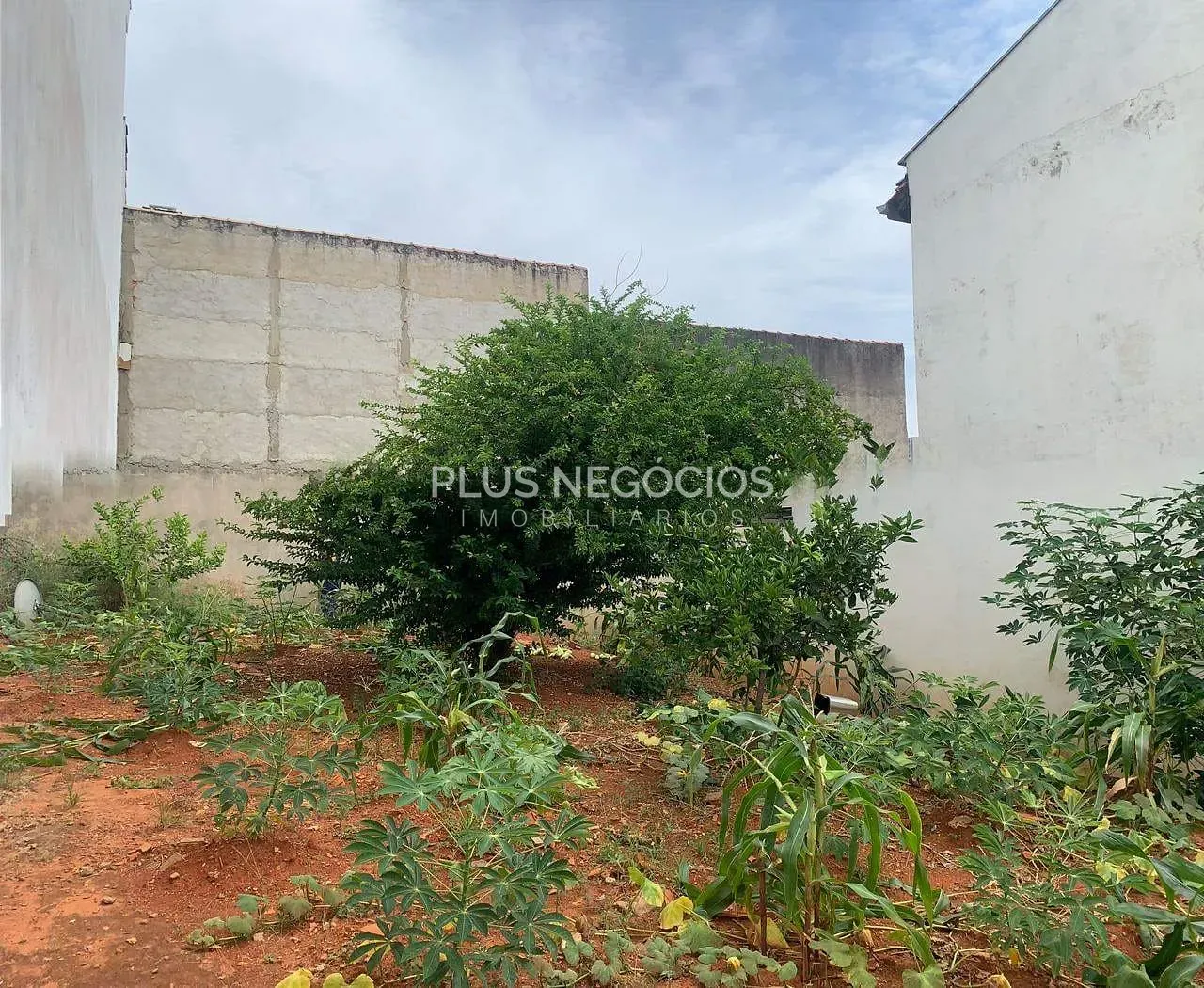 Terreno, 200 m² - Foto 1