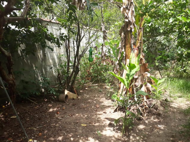 Terreno com 273m², à venda, no bairro Maria Áurea em Pindamonhangaba