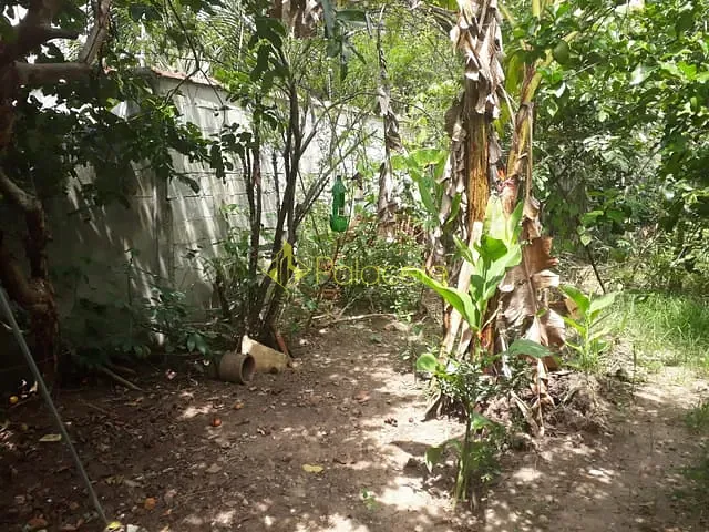 Terreno com 273m², à venda, no bairro Maria Áurea em Pindamonhangaba