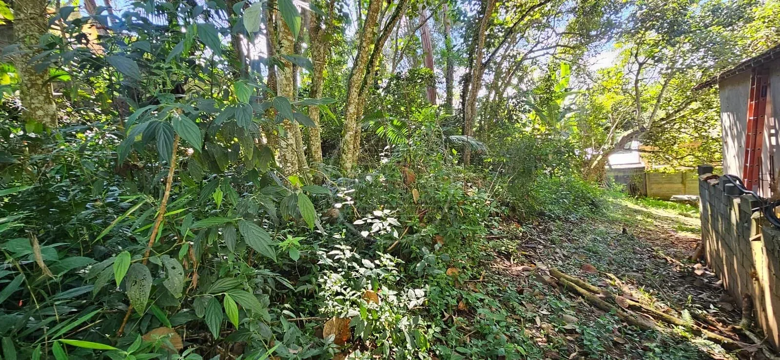 Terreno, 504 m² - Foto 5