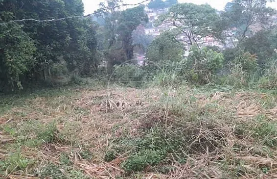 Terreno, 624 m² - Foto 6