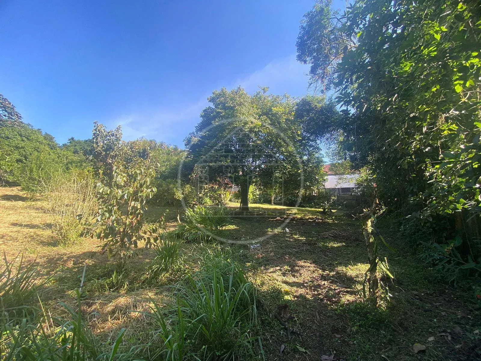 Terreno, 2650 m² - Foto 8