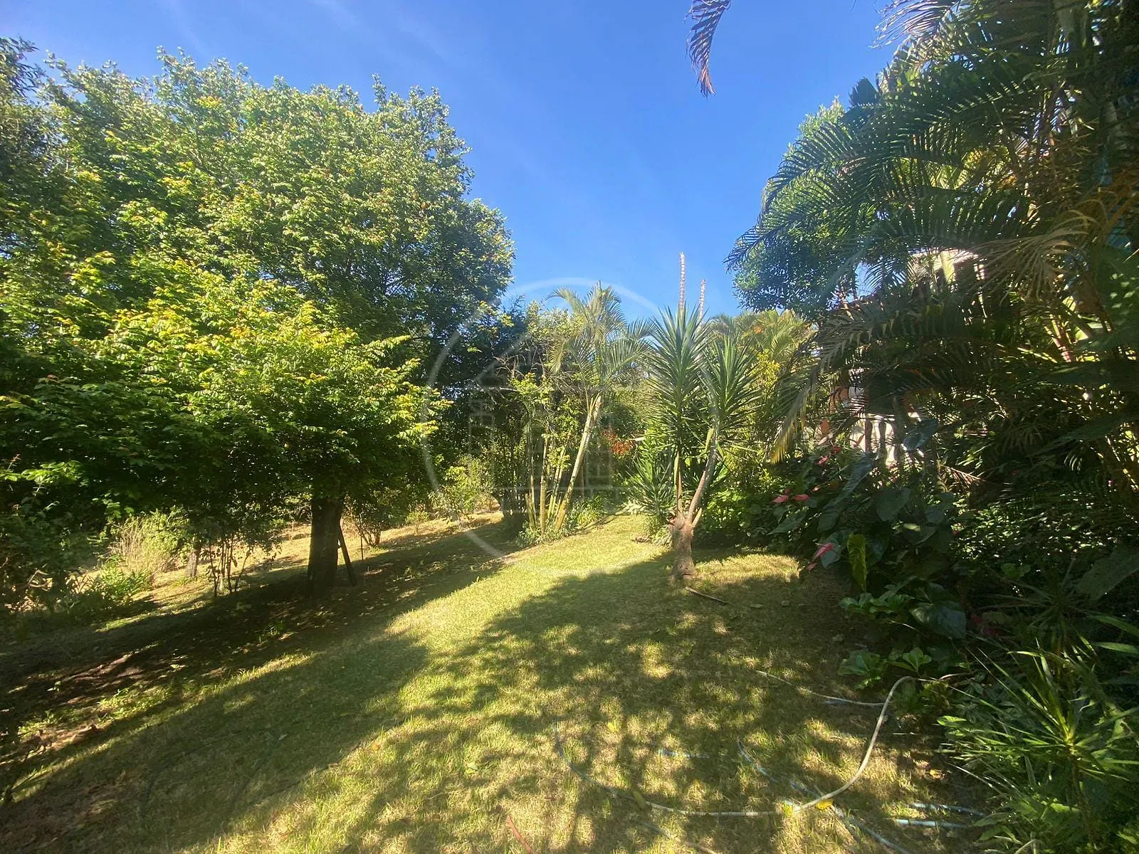 Terreno, 2650 m² - Foto 7