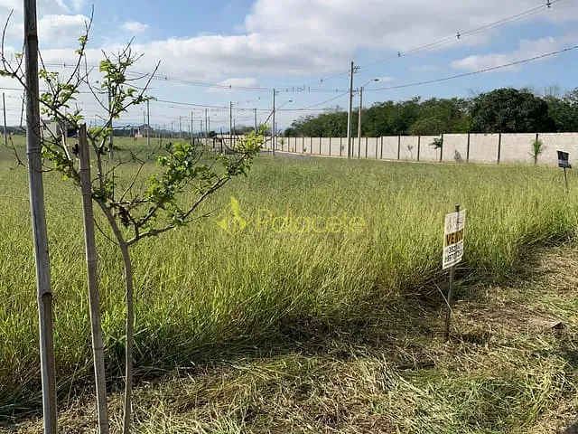 Terreno com 175m², à venda, no bairro Bosque da Imperatriz em Pindamonhangaba