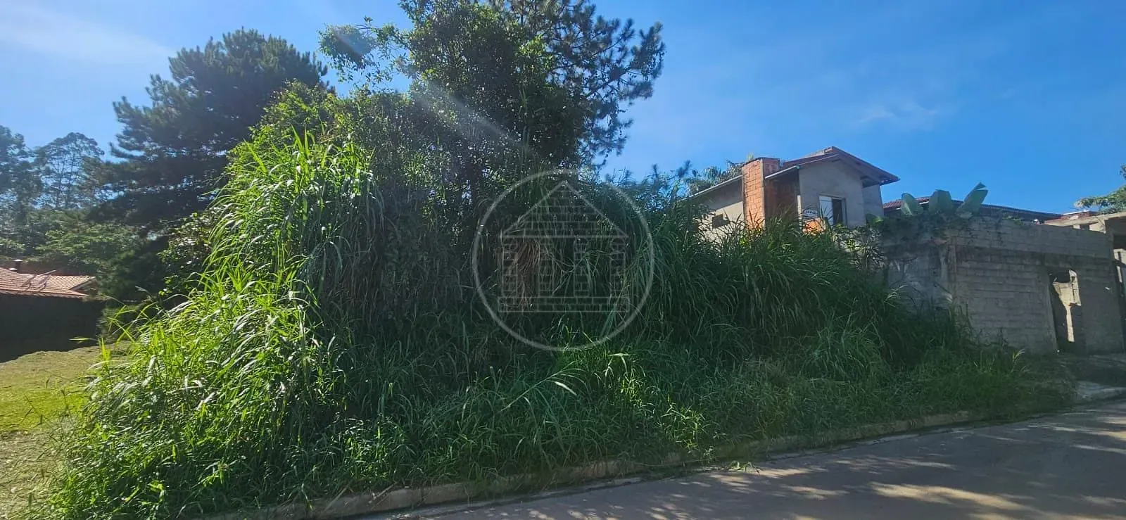 Terreno, 504 m² - Foto 3
