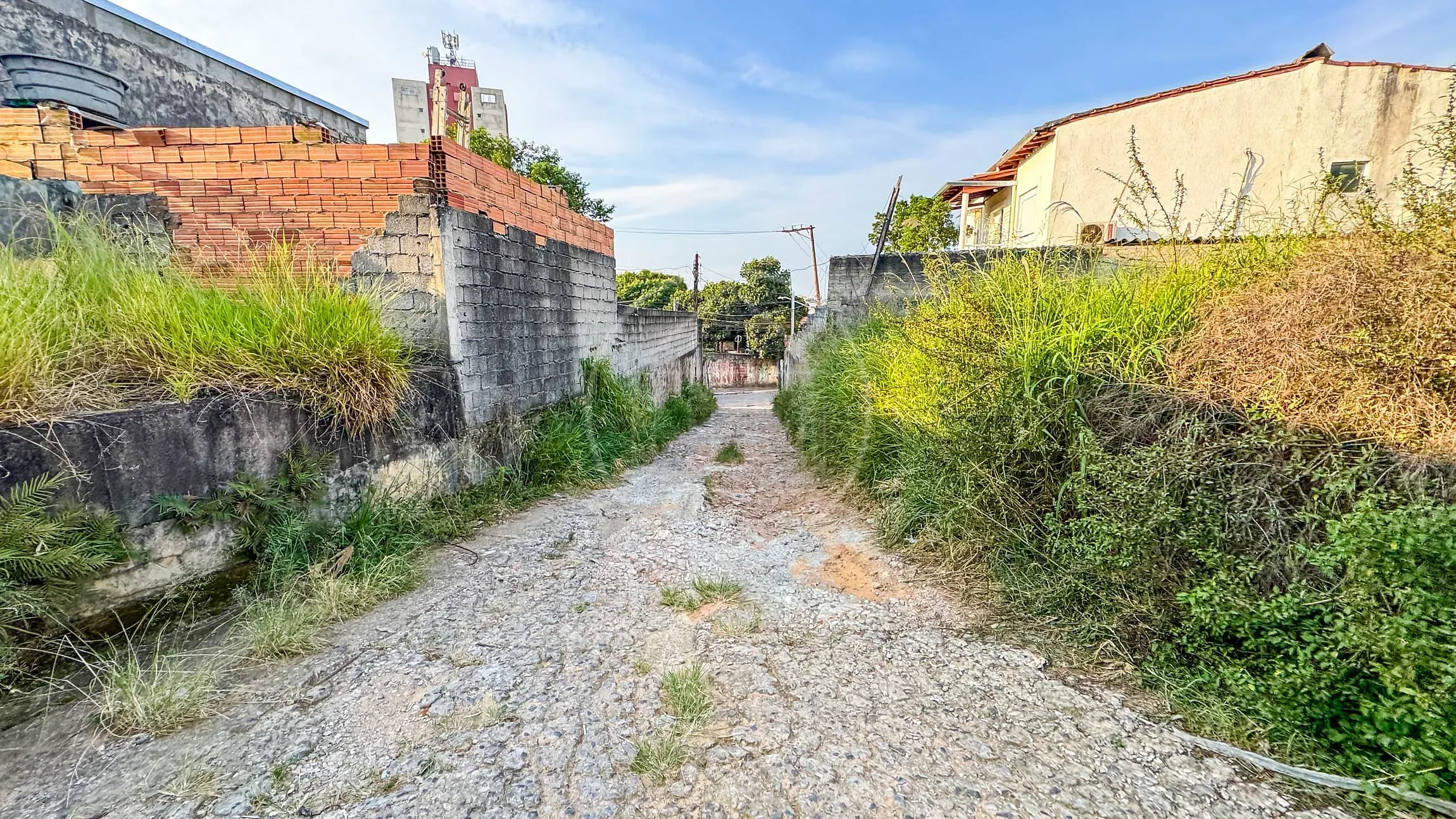 Terreno, 2018 m² - Foto 5