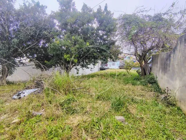 Terreno com 500m², à venda, no bairro Jardim Castro Alves em São Paulo