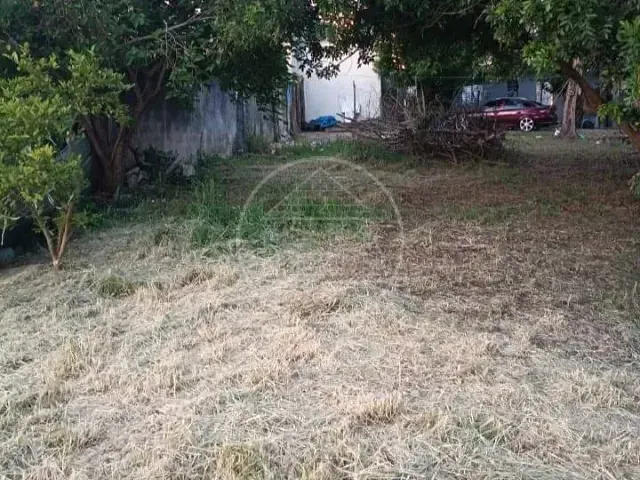 Terreno com 250m², à venda, no bairro Jardim Castro Alves em São Paulo