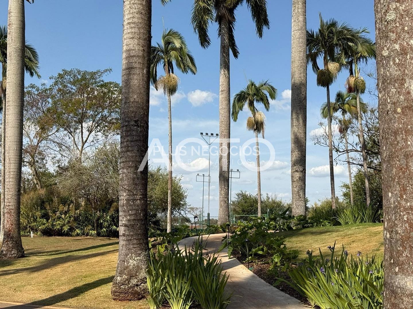 Terreno, 1700 m² - Foto 11