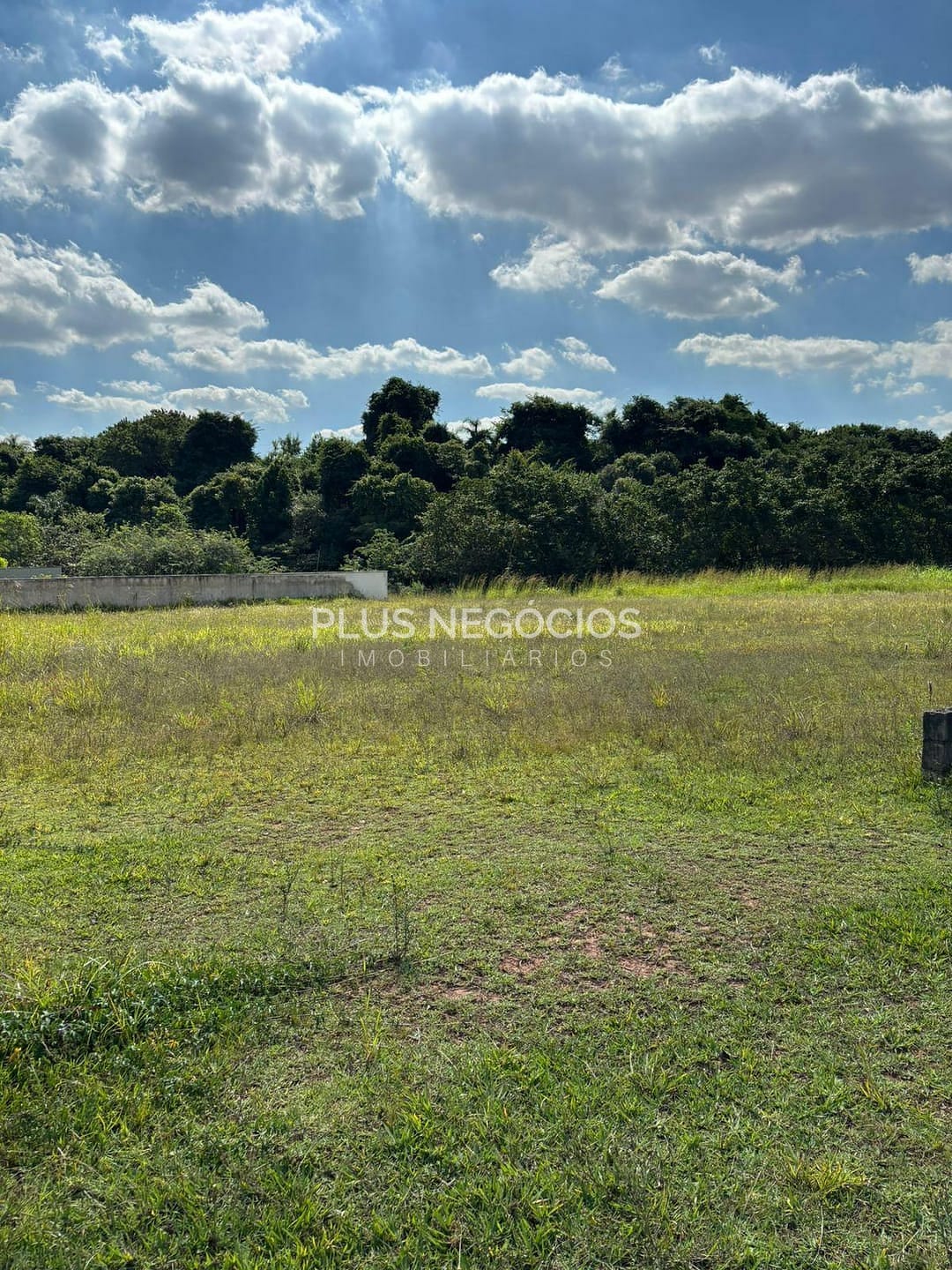 Terreno, 1125 m² - Foto 6