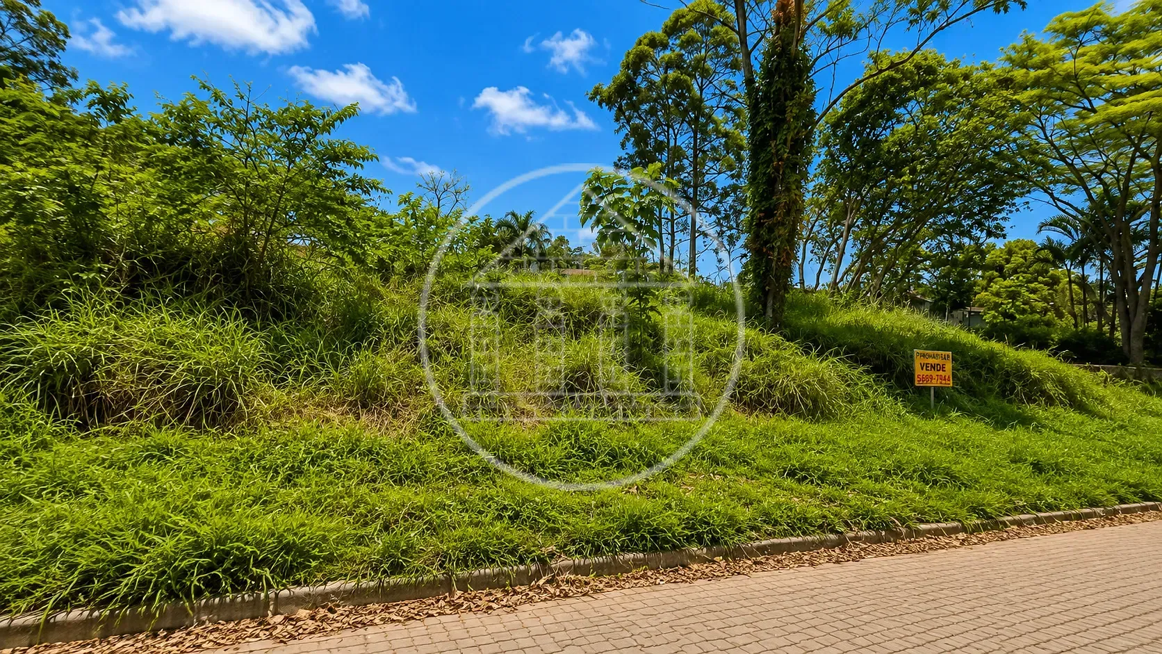 Terreno, 741 m² - Foto 6