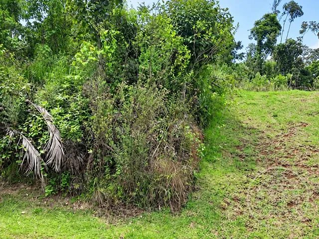 Terreno com 672m², à venda, no bairro Fazenda da Ilha em Embu-Guaçu