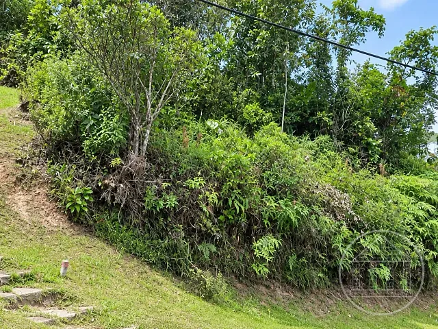 Terreno com 672m², à venda, no bairro Fazenda da Ilha em Embu-Guaçu