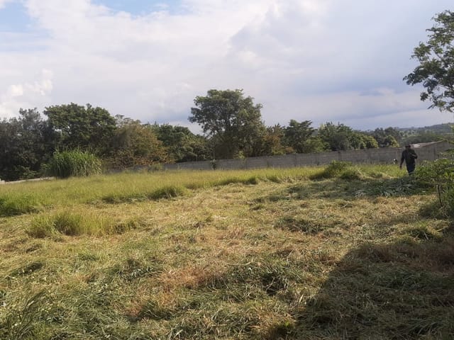 Terreno com 1500m², à venda, no bairro Goiabal em Pindamonhangaba