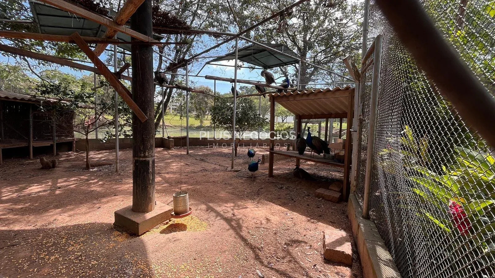 Terreno, 3000 m² - Foto 11